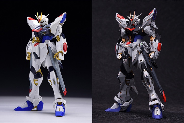 Fortune Meow's 1:100 Strike Freedom Gundam Conversion Kit