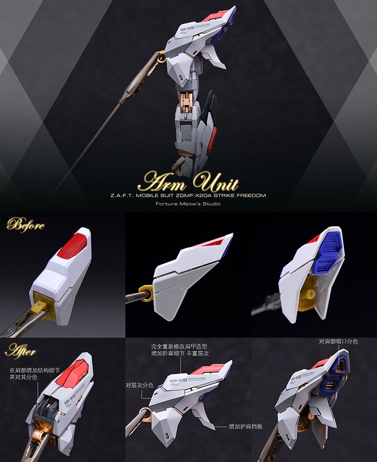 Fortune Meow's 1:100 Strike Freedom Gundam Conversion Kit