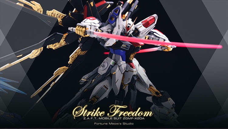 Fortune Meow's 1:100 Strike Freedom Gundam Conversion Kit