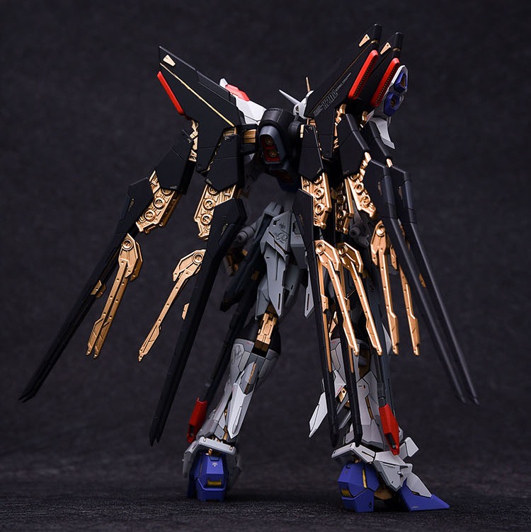 Fortune Meow's 1:100 Strike Freedom Gundam Conversion Kit