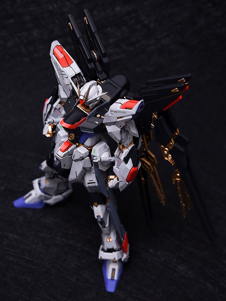 Fortune Meow's 1:100 Strike Freedom Gundam Conversion Kit