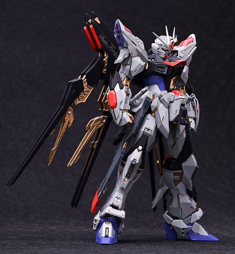 Fortune Meow's 1:100 Strike Freedom Gundam Conversion Kit