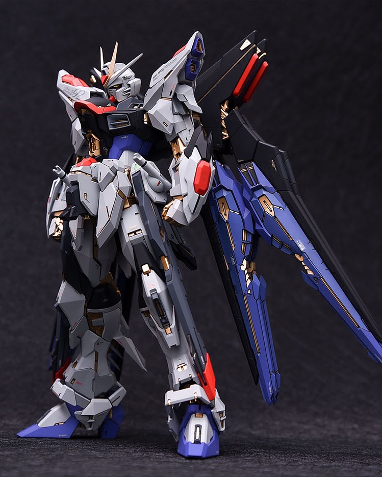 Fortune Meow's 1:100 Strike Freedom Gundam Conversion Kit