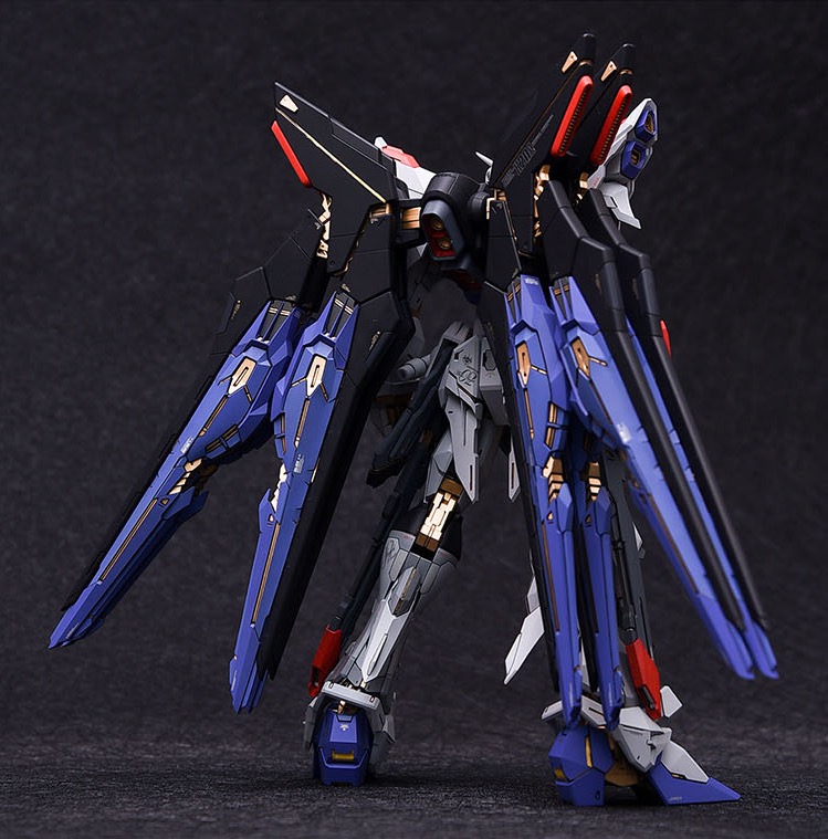 Fortune Meow's 1:100 Strike Freedom Gundam Conversion Kit