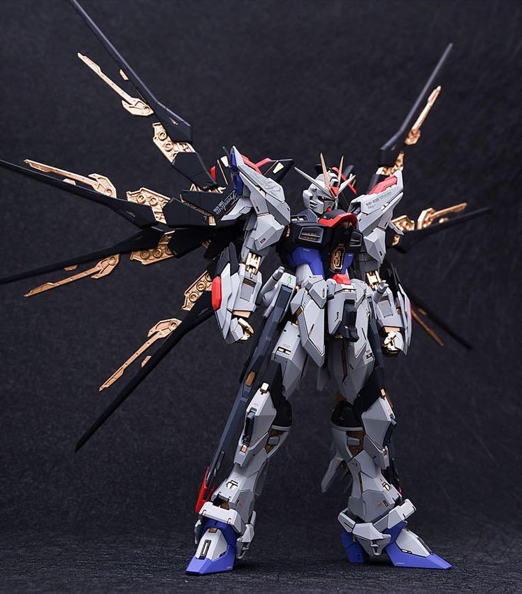 Fortune Meow's 1:100 Strike Freedom Gundam Conversion Kit