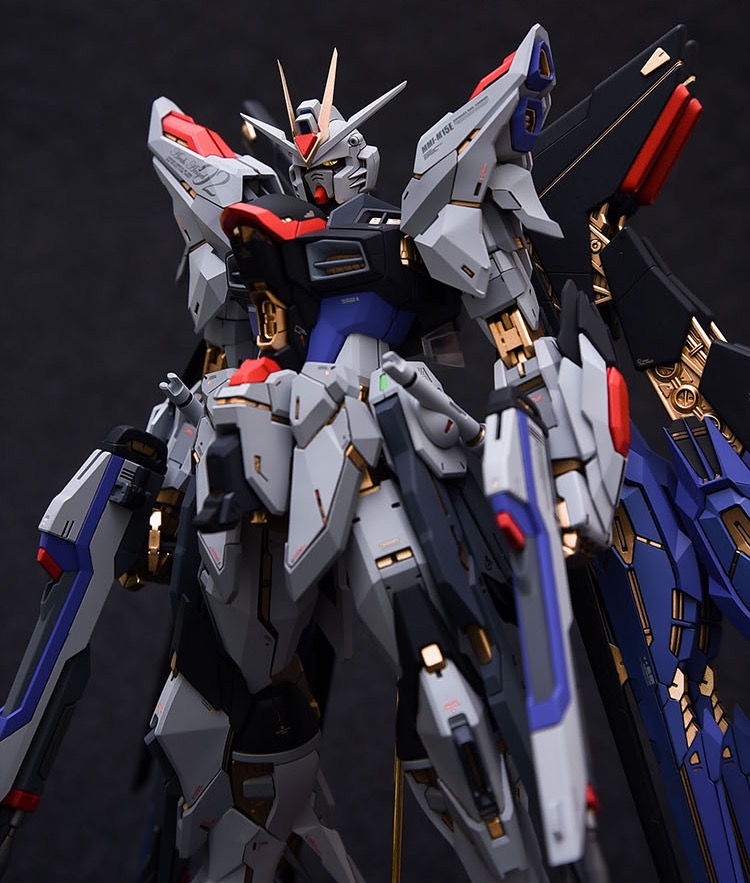 Fortune Meow's 1:100 Strike Freedom Gundam Conversion Kit