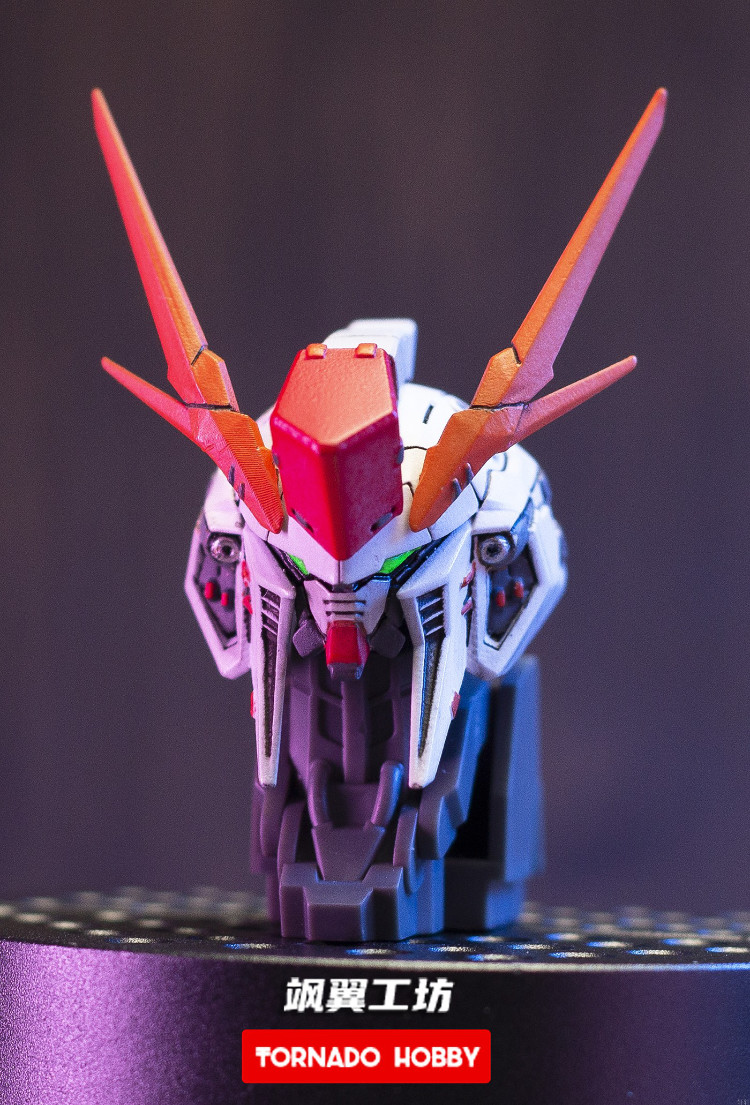 Tornado Hobby HG RX105 Xi Gundam Head 3D Printing Kit