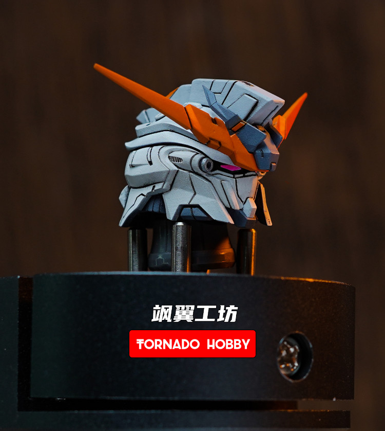 Tornado Hobby MG Sinanju Stein Head 3D Printing Kit