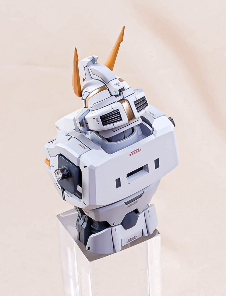 Model Bingo 1/100 Stargazer 2.0 Gundam Conversion Kit