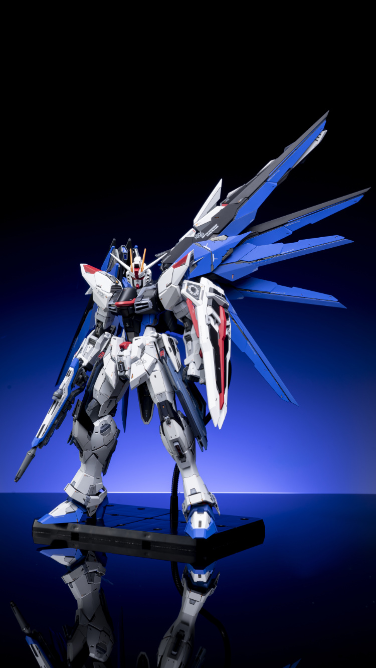 EA Studio 1-100 Freedom Gundam 2.0 Conversion Kit