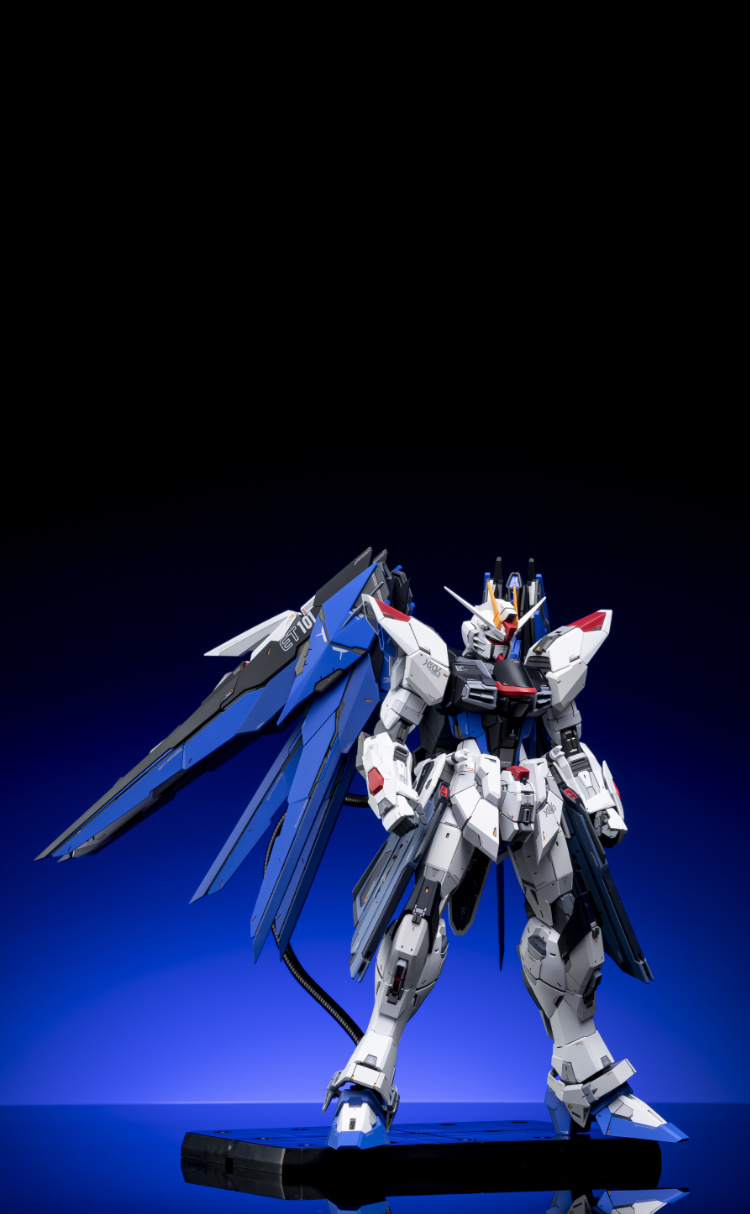 EA Studio 1-100 Freedom Gundam 2.0 Conversion Kit