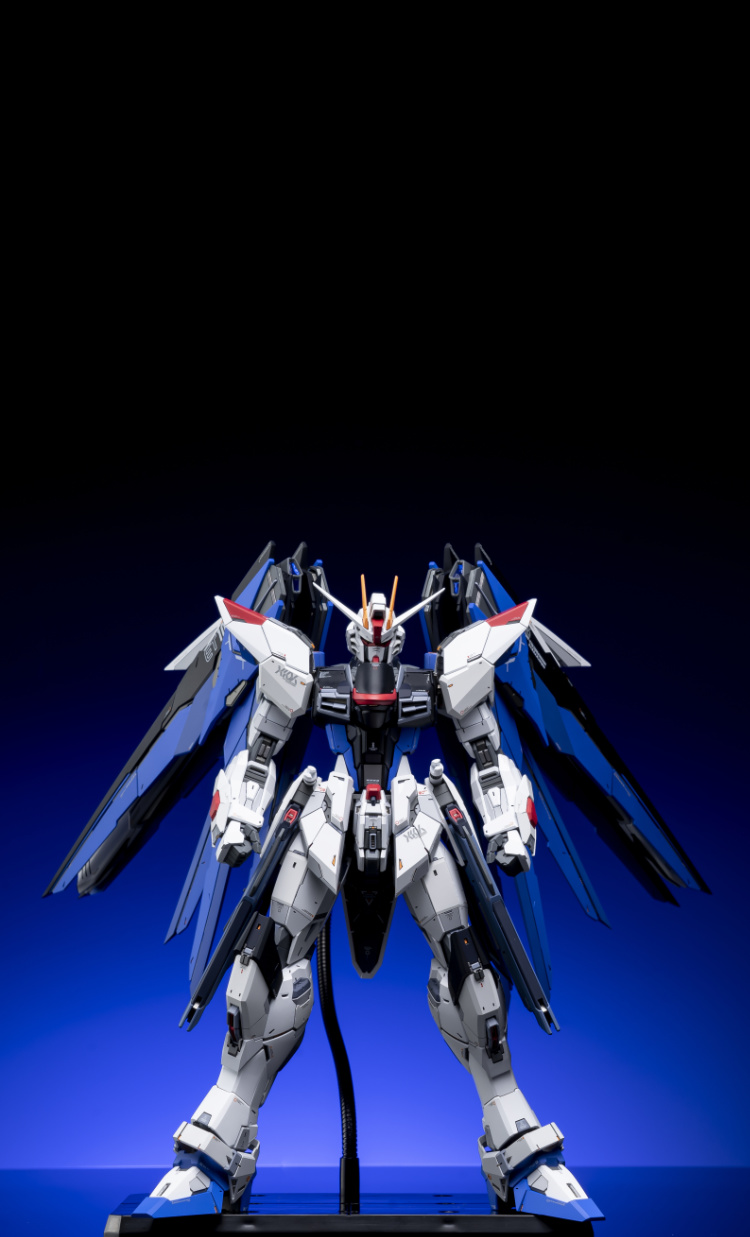 EA Studio 1-100 Freedom Gundam 2.0 Conversion Kit