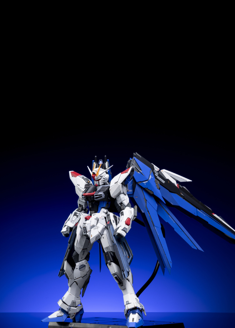 EA Studio 1-100 Freedom Gundam 2.0 Conversion Kit