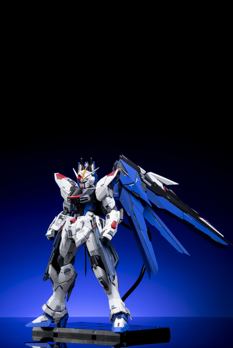 EA Studio 1-100 Freedom Gundam 2.0 Conversion Kit