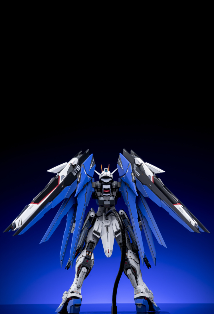 EA Studio 1-100 Freedom Gundam 2.0 Conversion Kit