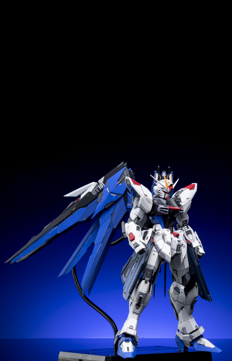 EA Studio 1-100 Freedom Gundam 2.0 Conversion Kit