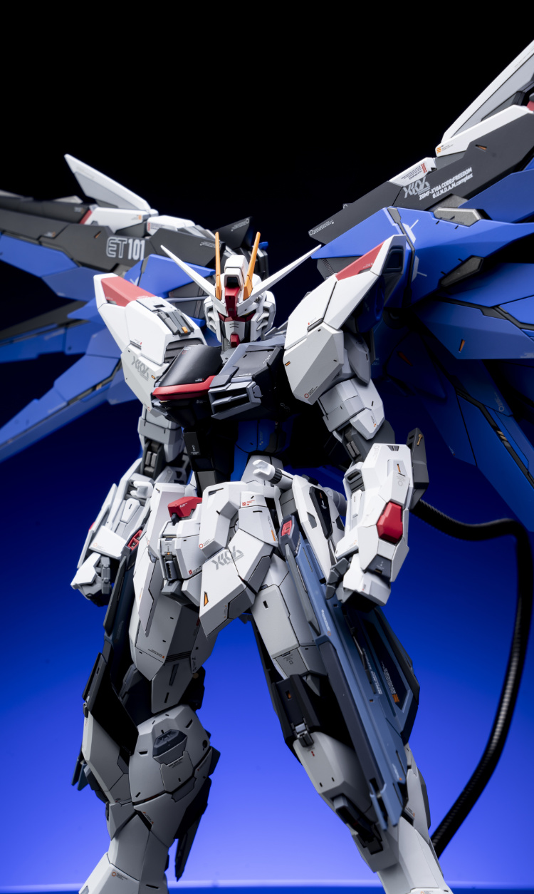 EA Studio 1-100 Freedom Gundam 2.0 Conversion Kit