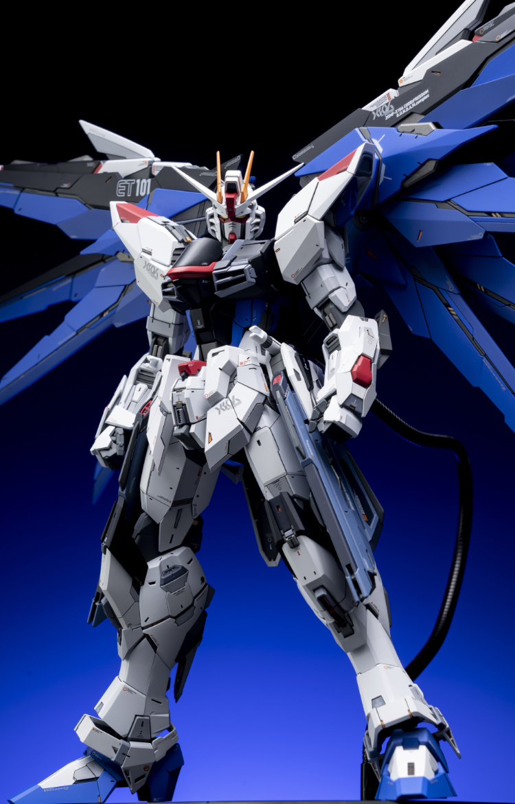 EA Studio 1-100 Freedom Gundam 2.0 Conversion Kit