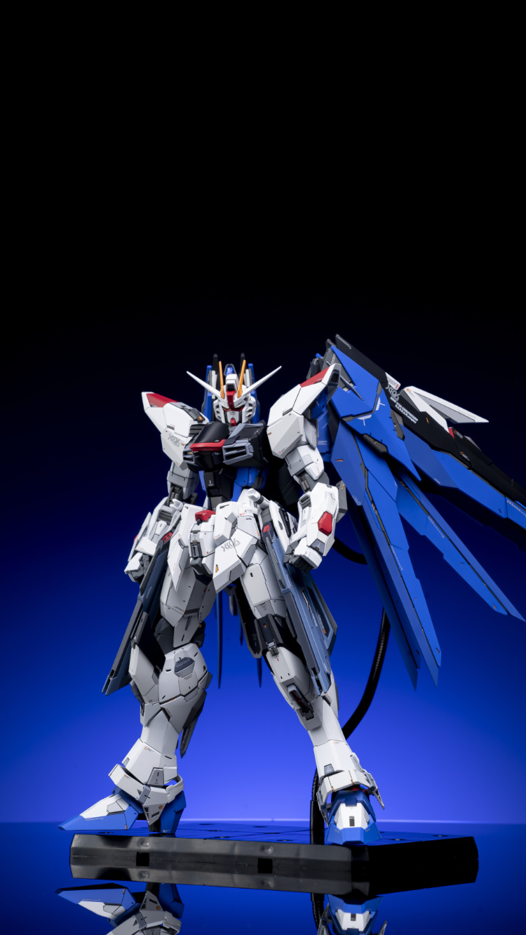 EA Studio 1-100 Freedom Gundam 2.0 Conversion Kit