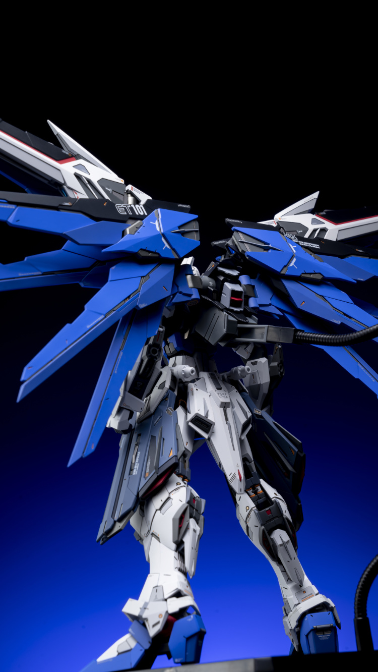 EA Studio 1-100 Freedom Gundam 2.0 Conversion Kit