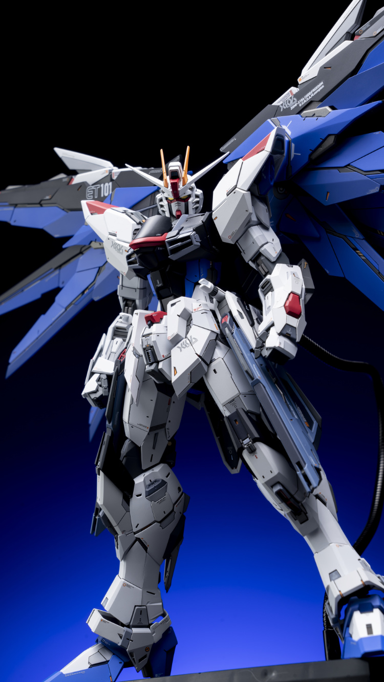 EA Studio 1-100 Freedom Gundam 2.0 Conversion Kit