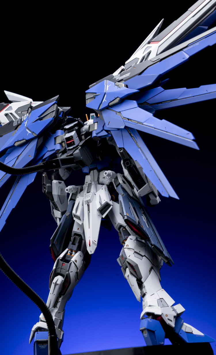 EA Studio 1-100 Freedom Gundam 2.0 Conversion Kit