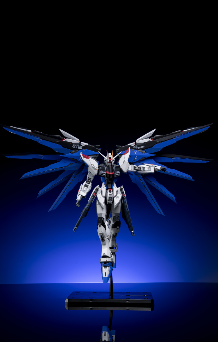 EA Studio 1-100 Freedom Gundam 2.0 Conversion Kit