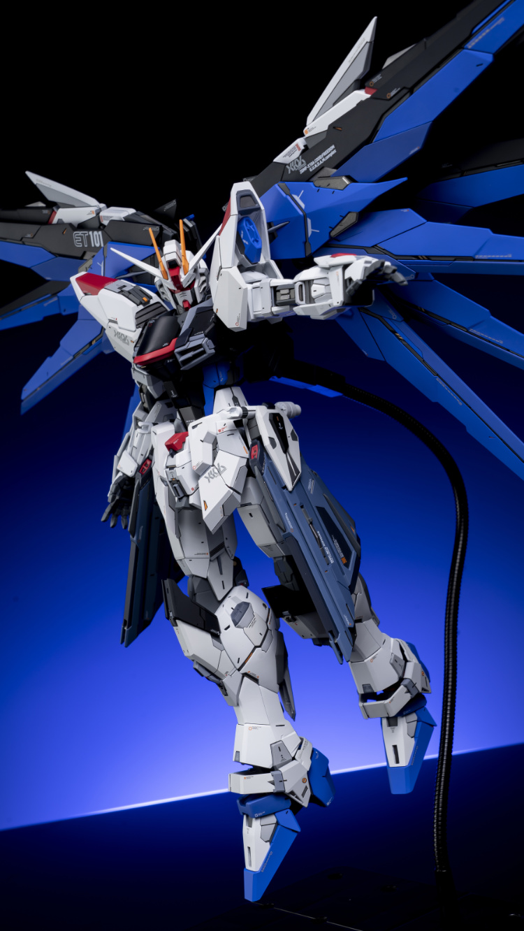 EA Studio 1-100 Freedom Gundam 2.0 Conversion Kit