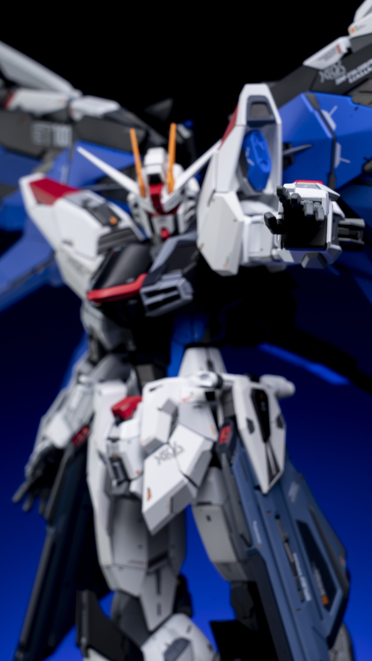 EA Studio 1-100 Freedom Gundam 2.0 Conversion Kit