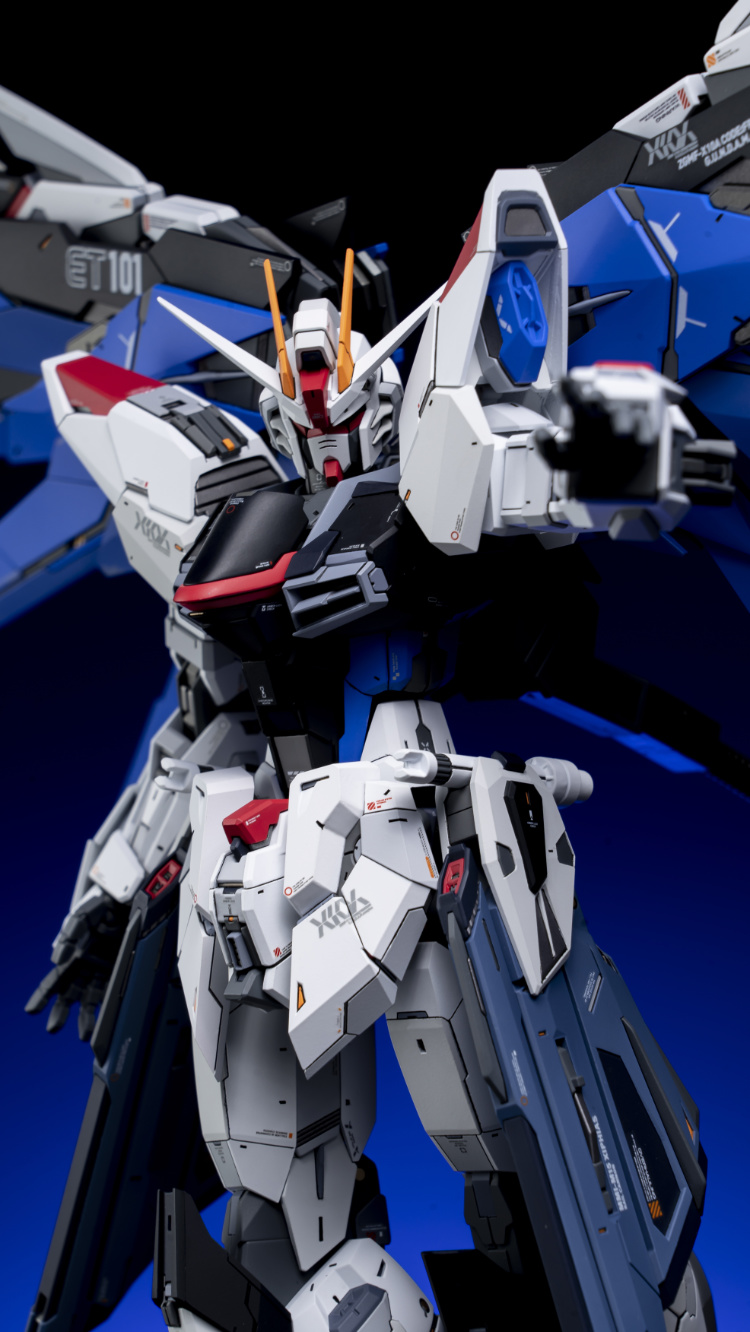 EA Studio 1-100 Freedom Gundam 2.0 Conversion Kit