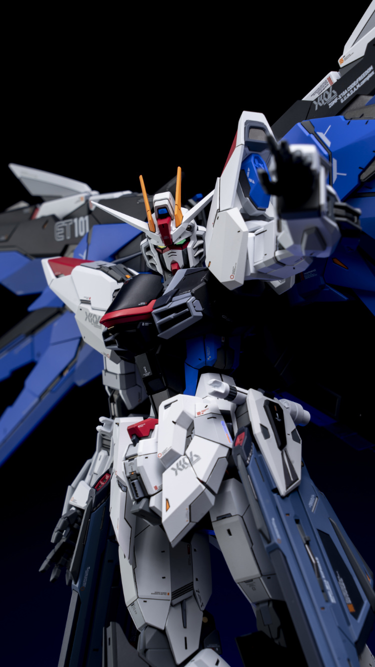 EA Studio 1-100 Freedom Gundam 2.0 Conversion Kit