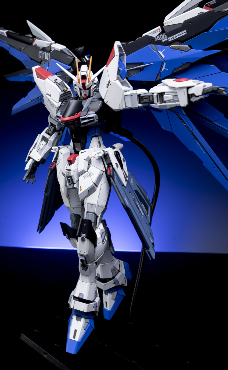 EA Studio 1-100 Freedom Gundam 2.0 Conversion Kit