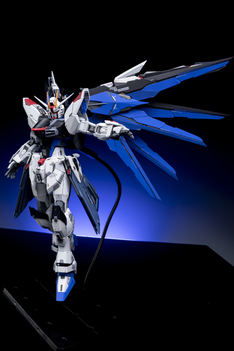 EA Studio 1-100 Freedom Gundam 2.0 Conversion Kit