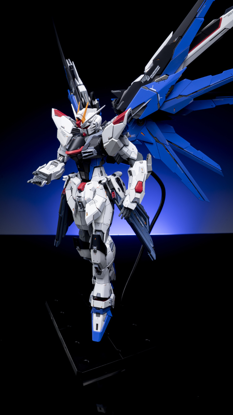 EA Studio 1-100 Freedom Gundam 2.0 Conversion Kit