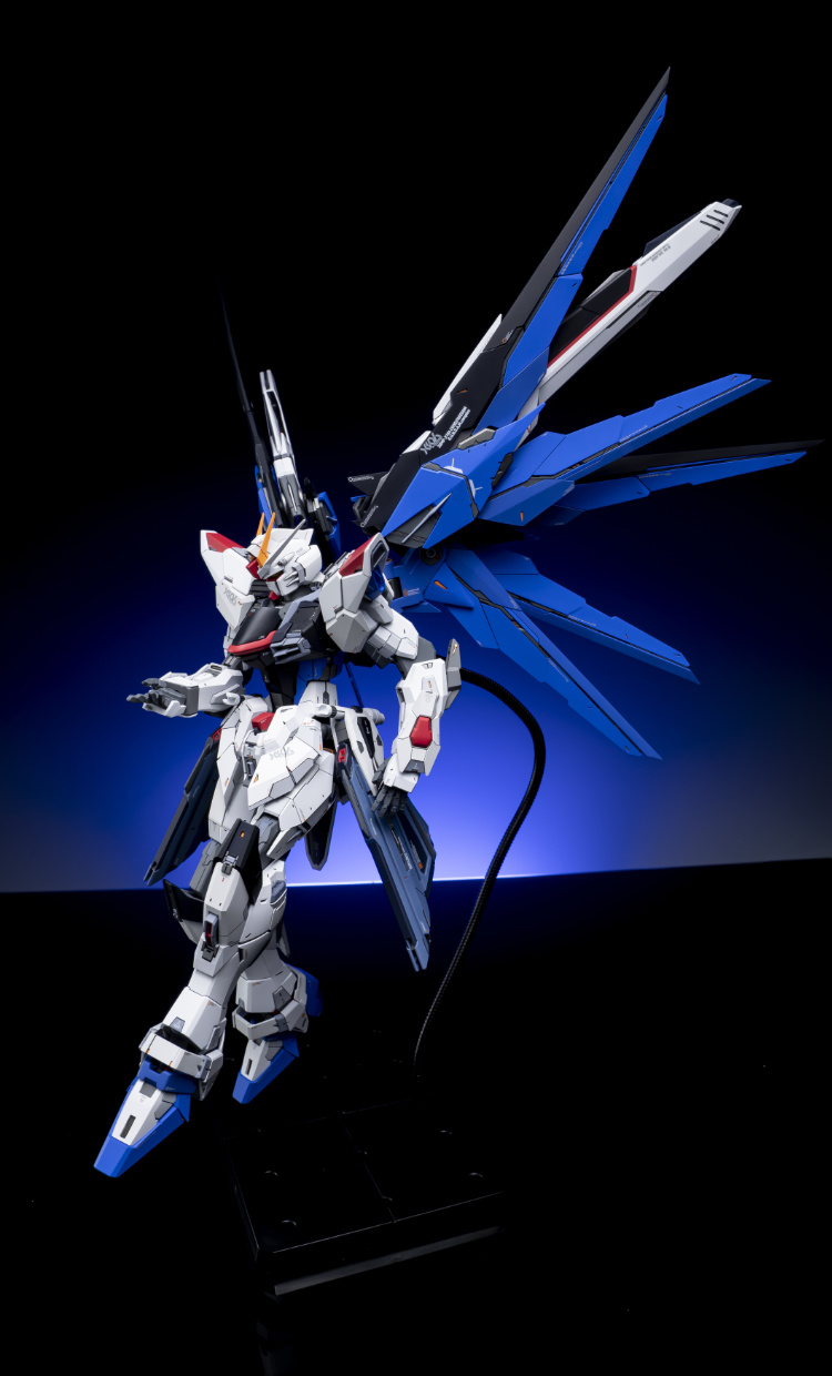 EA Studio 1-100 Freedom Gundam 2.0 Conversion Kit