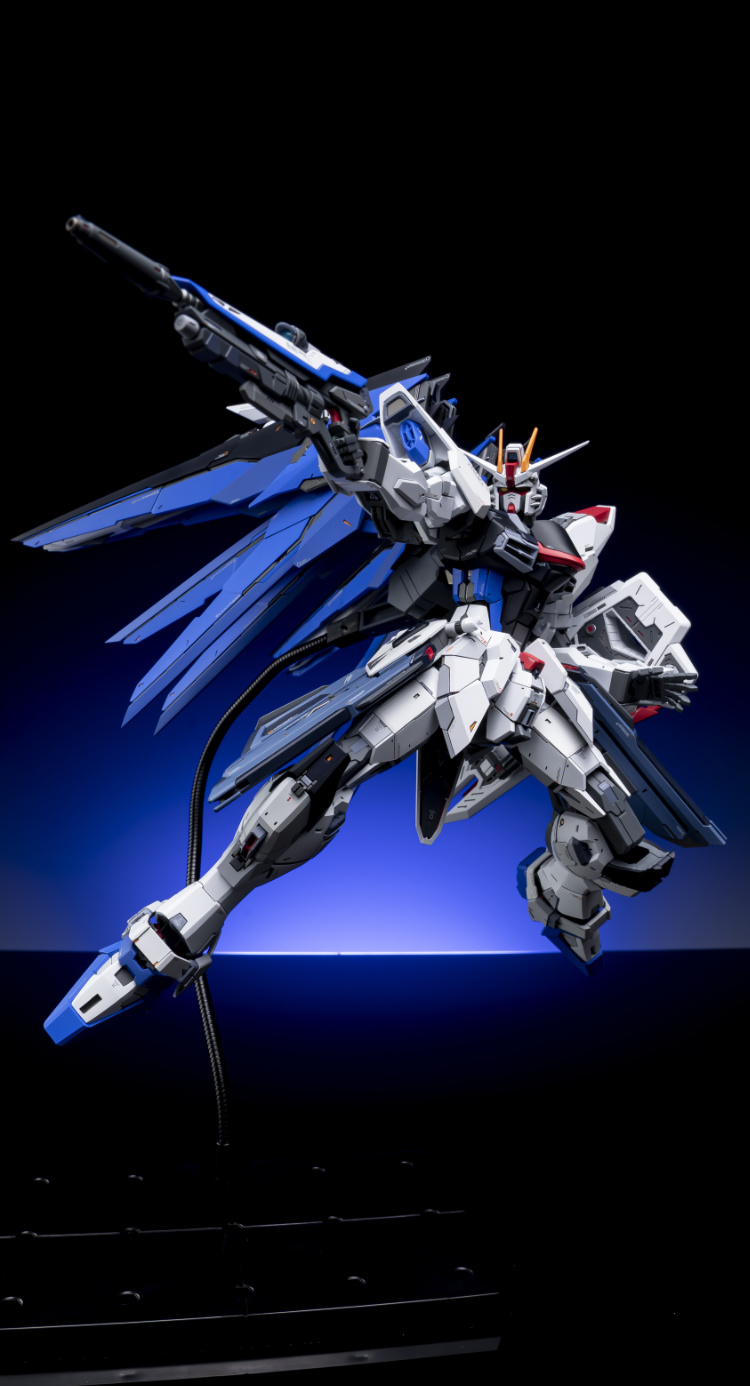 EA Studio 1-100 Freedom Gundam 2.0 Conversion Kit