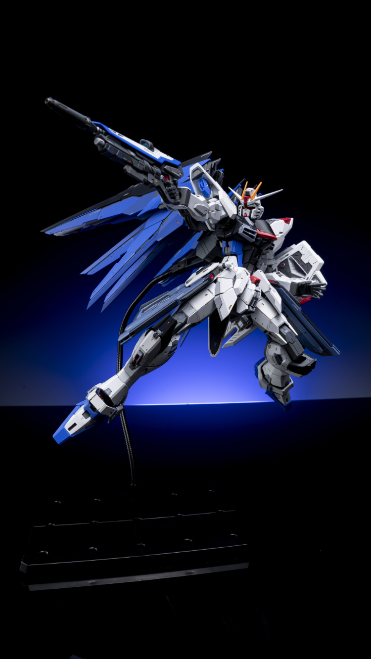 EA Studio 1-100 Freedom Gundam 2.0 Conversion Kit