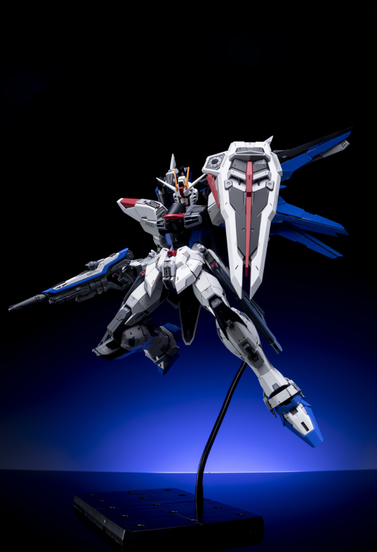 EA Studio 1-100 Freedom Gundam 2.0 Conversion Kit