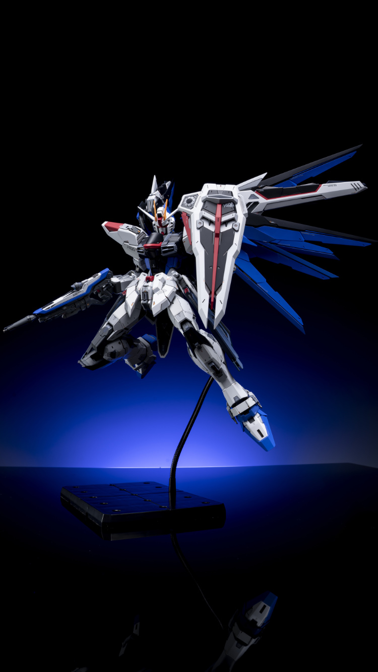 EA Studio 1-100 Freedom Gundam 2.0 Conversion Kit