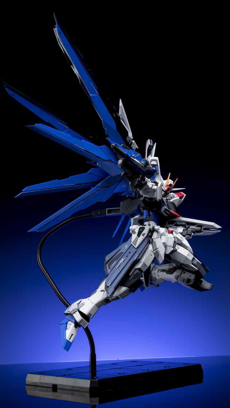 EA Studio 1-100 Freedom Gundam 2.0 Conversion Kit