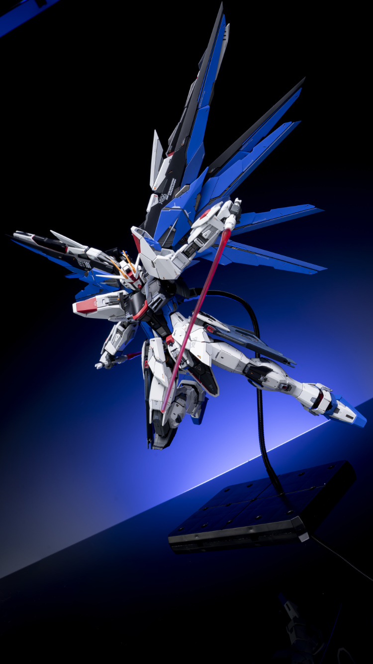 EA Studio 1-100 Freedom Gundam 2.0 Conversion Kit