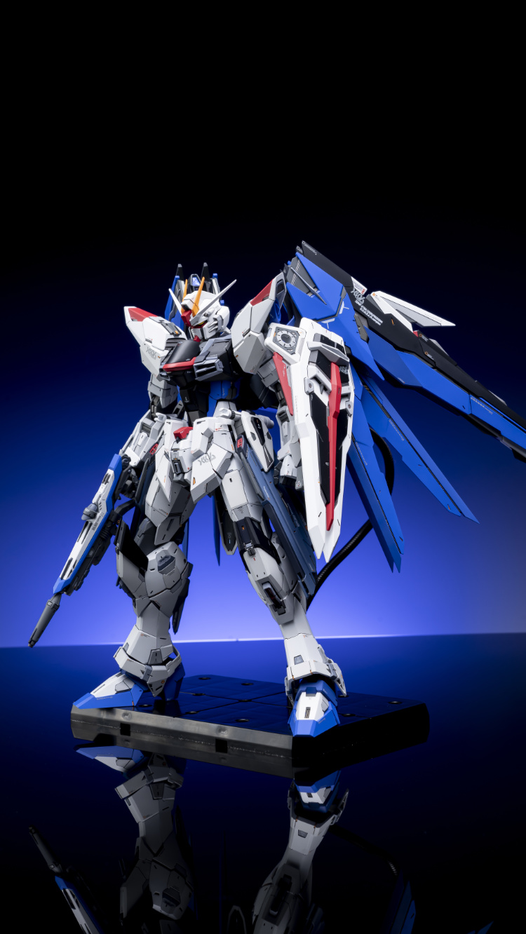 EA Studio 1-100 Freedom Gundam 2.0 Conversion Kit