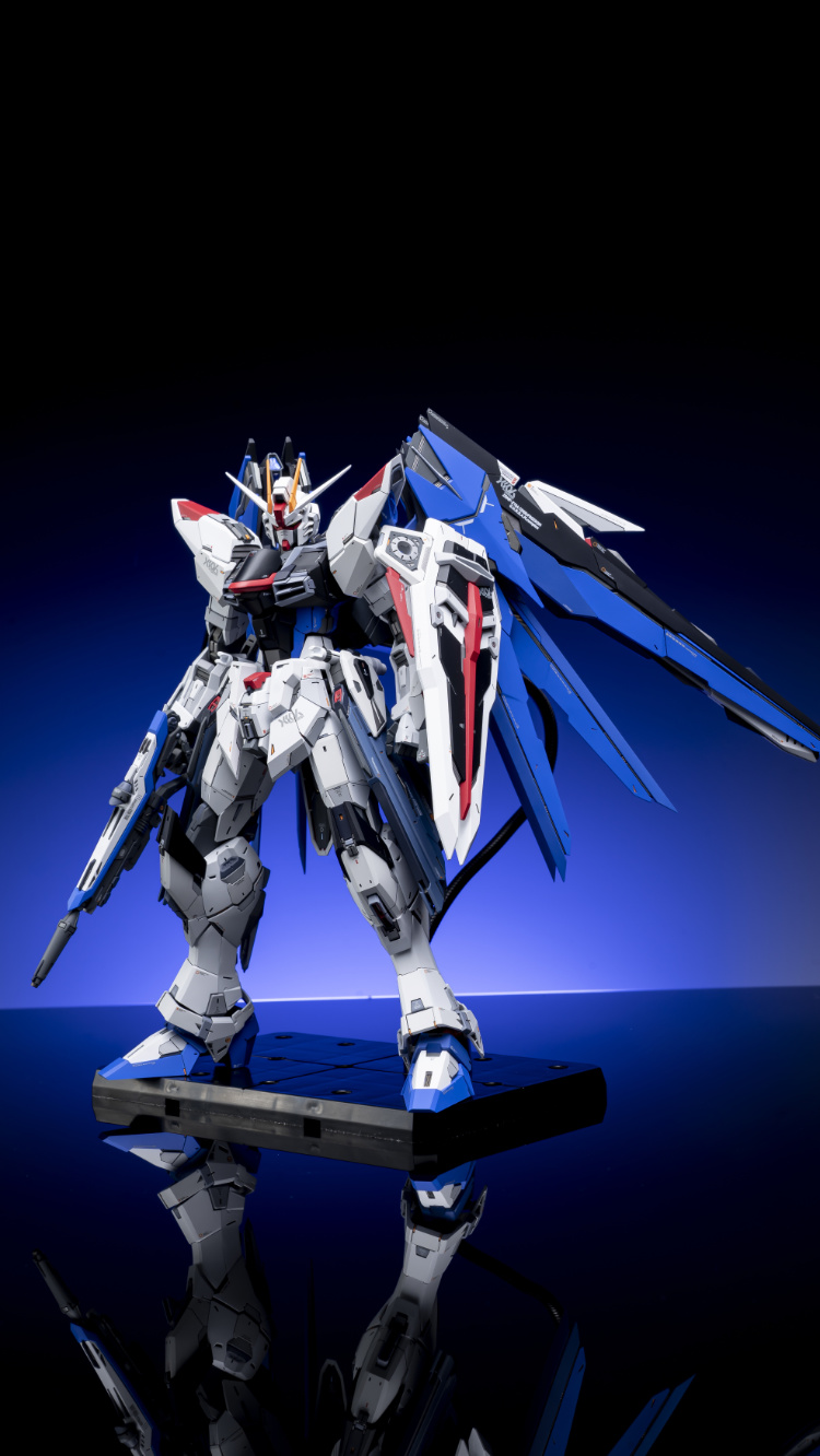 EA Studio 1-100 Freedom Gundam 2.0 Conversion Kit