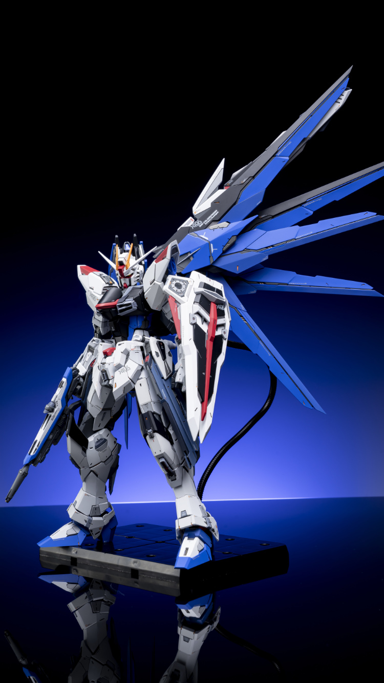 EA Studio 1-100 Freedom Gundam 2.0 Conversion Kit