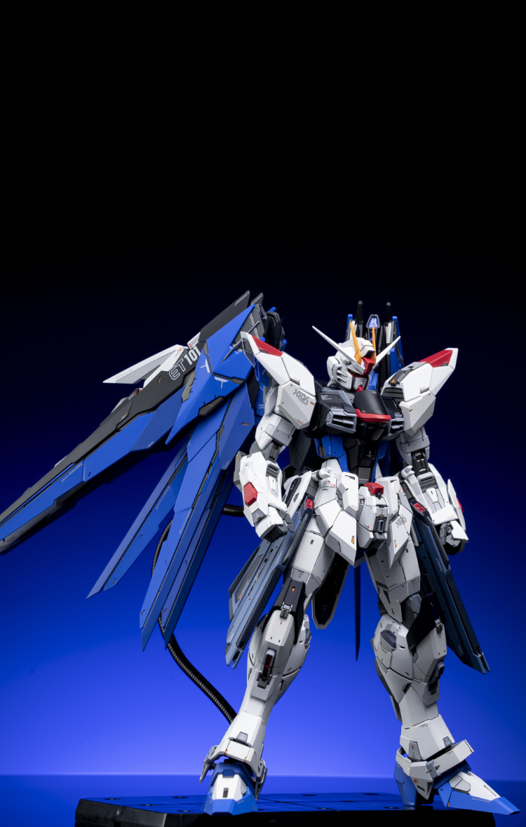 EA Studio 1-100 Freedom Gundam 2.0 Conversion Kit